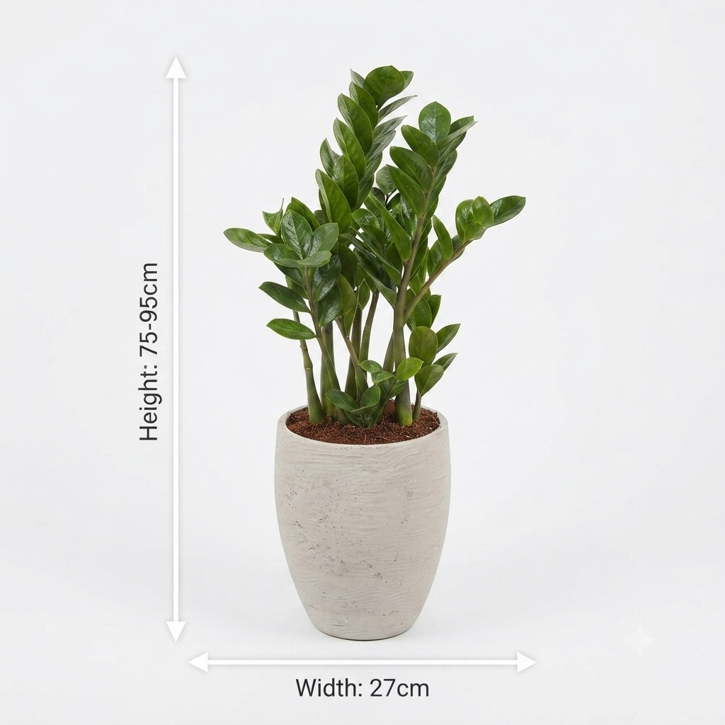 Zizi & Grey Round Recement Pot