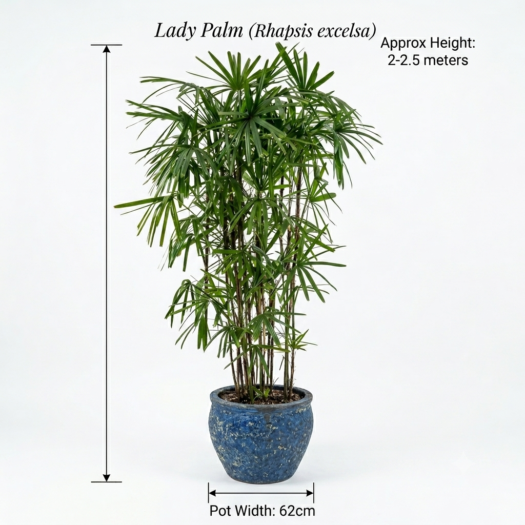 Deep cobalt blue rustic Pot / Lady Plam