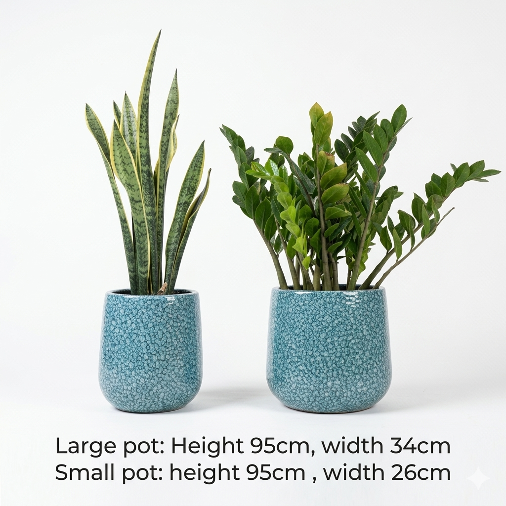 Zizi & Snake Plant (Green Set)