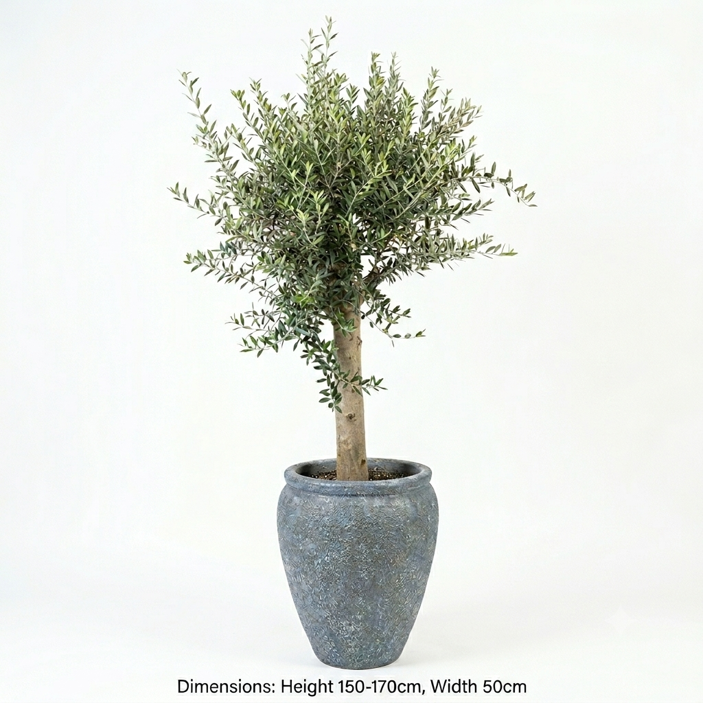 Ocean Blue / Urn or Egg-Shaped Pot / Olive Tree