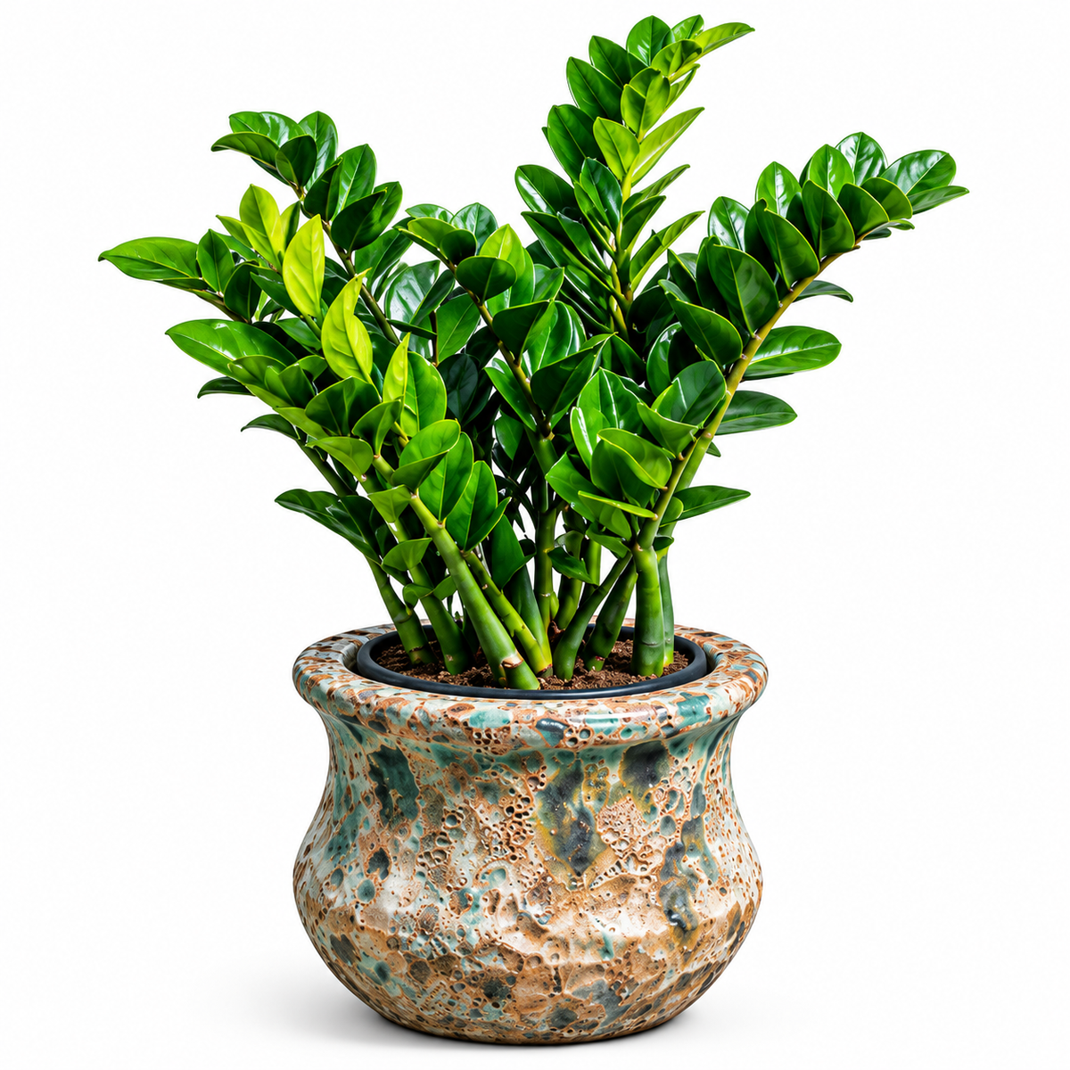 ZiZi/Jade Blue Ancient Tidi (Small Pot)
