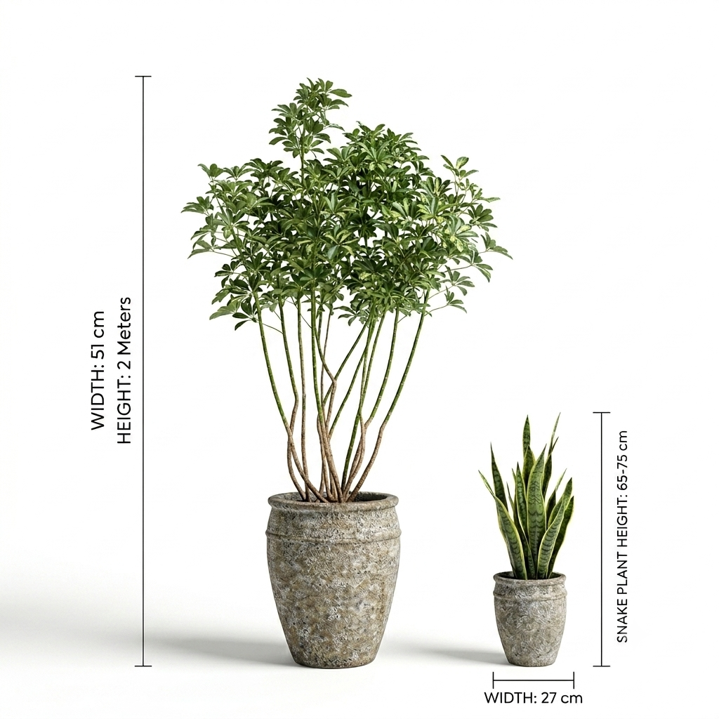 Jar pot mottled grey and earthy yellow/sand mix / Schefflera - Snake Plants