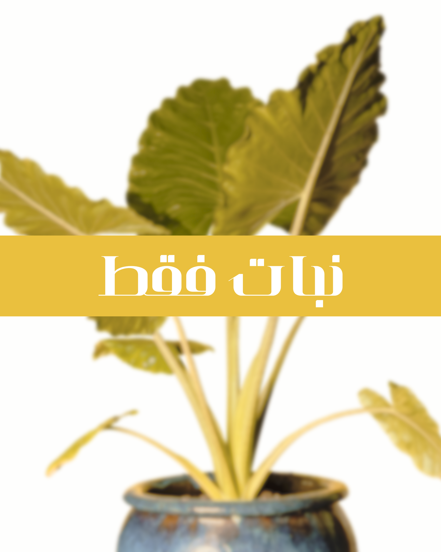 Plants Only