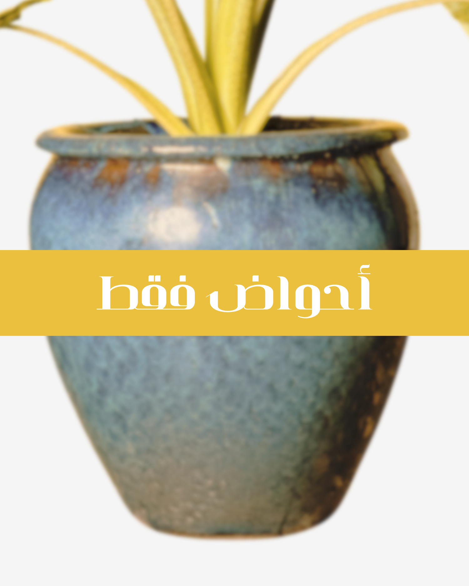 POTS Only
