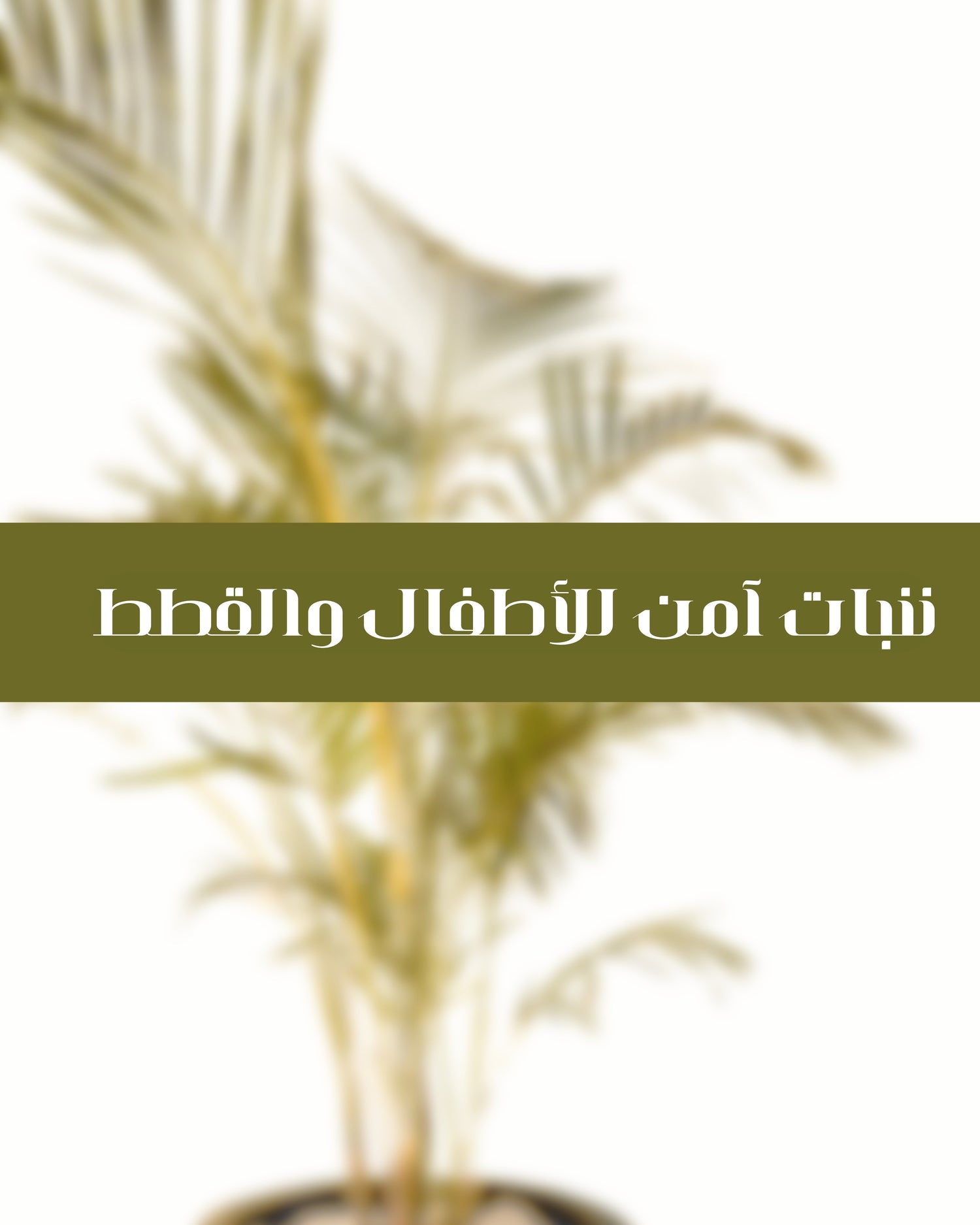 Children & Pets Safe Plants