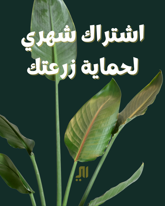 أشتراك حماية زرعتك