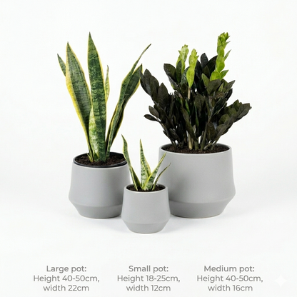 Zizi & Snake Table Set - 3 pc's