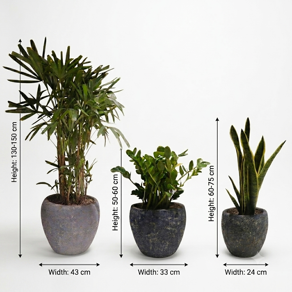 Turquoise Sky Blue Pots and Plants - Set 3 Pc's