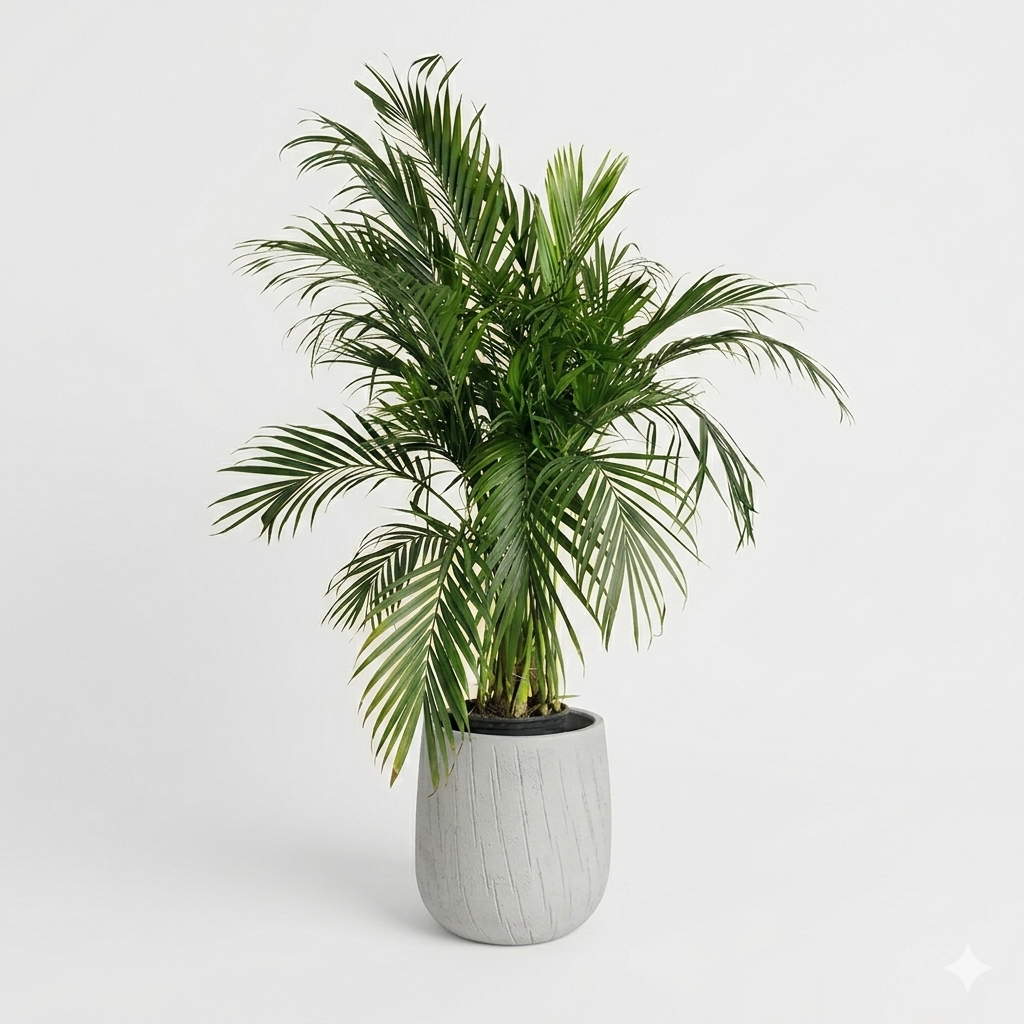 Arica & White Ceramic Pot