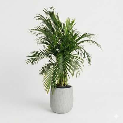 Arica & White Ceramic Pot