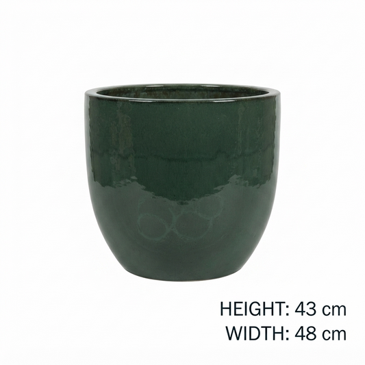 Nobel Egg Moss Green Pot