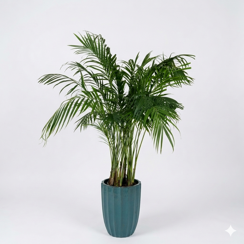 Arica & White Ceramic Pot