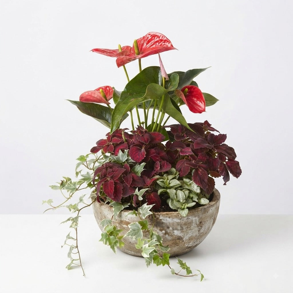 Crimson Cascade Mixed Planter