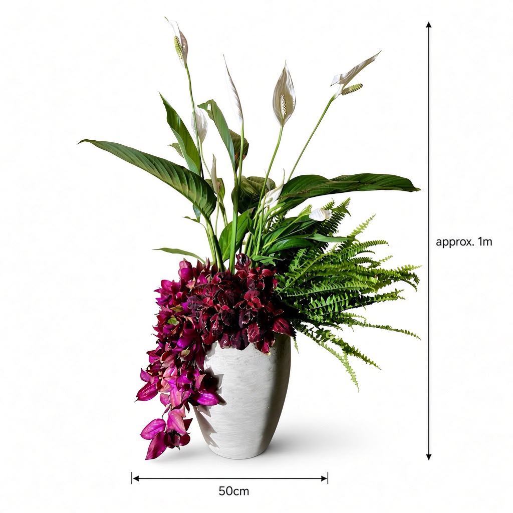Tropical Harmony Mixed Planter (Peace Lily, Fern, and Purple Passion)