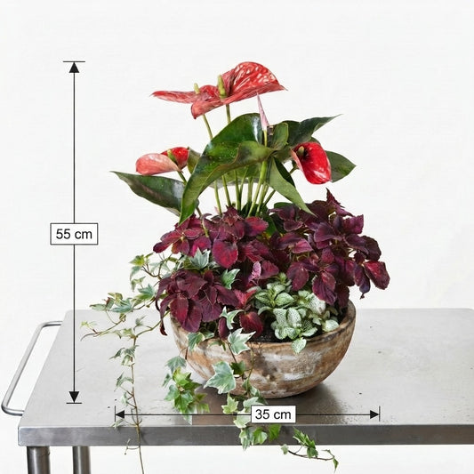 Crimson Cascade Mixed Planter